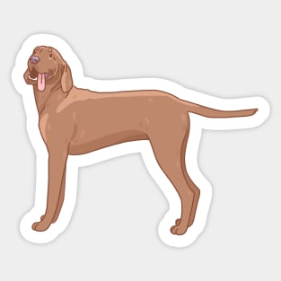 Vizsla Sticker